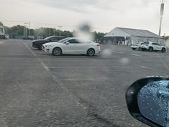 -顾村公园3号门停车场