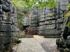 -梭布垭石林景区