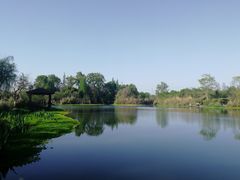 -桤木河湿地公园