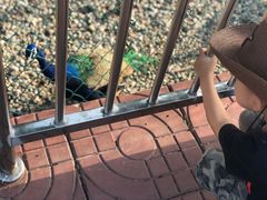 -南京金牛湖风景区