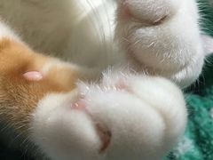 -青岛海尔洲际酒店