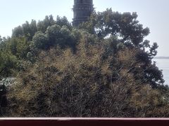 -锁江楼
