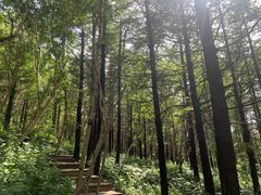 -白草畔自然风景区