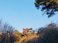 -紫金山山顶公园