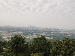 -火炉山森林公园