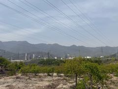 -白水寺森林公园