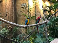 -杭州开元森泊度假乐园