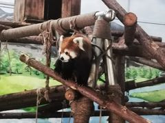 -柳州市动物园