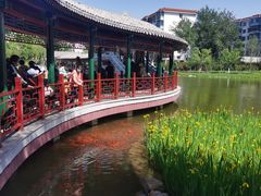 -西海子公园