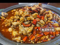 -美蛙四季(六里桥店)