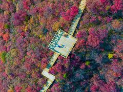 -水峪民俗村