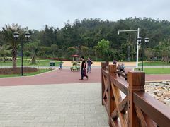 -野狸岛