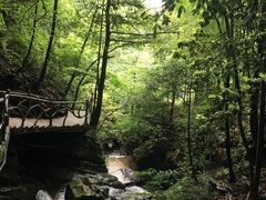 -藏龙百瀑风景区