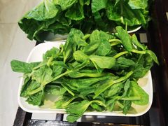 -爱膳菌锅锅(阳南店)