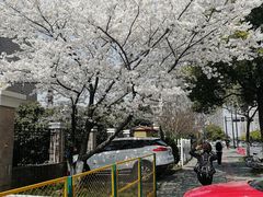 -蜜雪冰城(浙江大学店)