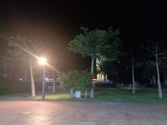-亚龙湾中心广场