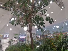 -大树餐厅(红旗街万达店)