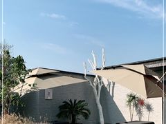 -小意思咖啡店(草桥店)