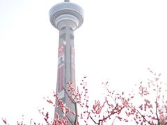 -南京古林公园
