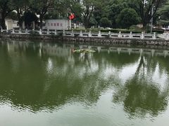 -花溪公园