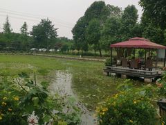 -洪湖家庭农场·团建·露营·会议