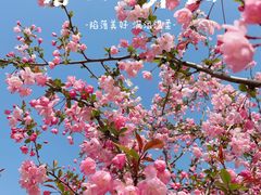 -阳澄湖半岛旅游度假区