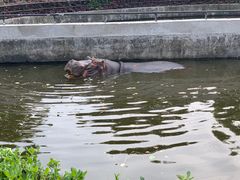 -合肥野生动物园