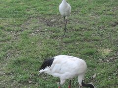 -哈尔滨北方森林动物园