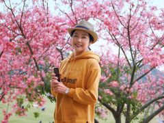 -风云岭森林公园