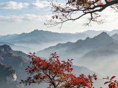 -塔云山