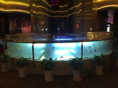景观鱼缸-中影国际影城(兰生大厦CINITY LED店)