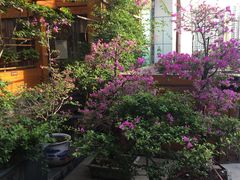 -琼菜坊·无鸡不成宴·海南菜老爸茶糟粕醋(海口骑楼老街店)