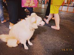 -唐人街(耀华力路)