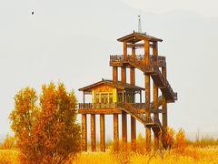 -野鸭湖国家湿地公园