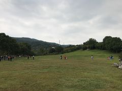 -雨花胜境
