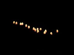 -禅宗少林·音乐大典