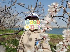 -天津东丽湖风景区