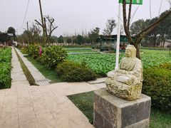 -洪湖家庭农场·团建·露营·会议