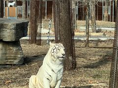 -秦皇岛野生动物园