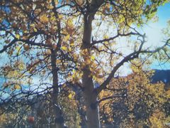 -苏州青少年科技馆