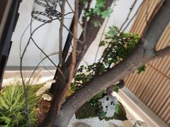 -蜜桃餐厅·伴山(湖滨商业街店)