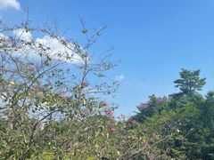 -广州凤凰城酒店-维也纳西餐厅