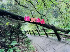 -西岭雪山大飞水景区