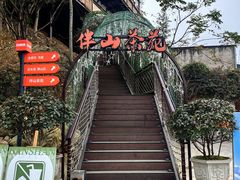 -伴山茶苑·围炉煮茶