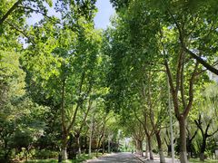 -云龙湖旅游景区