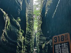 -梭布垭石林景区