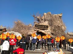 -大槐树寻根祭祖园