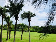 -鹅銮鼻公园