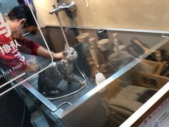 -PETKIT小佩宠物·低压洗护(国顺东路店)