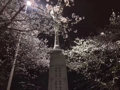 -武汉大学-樱园